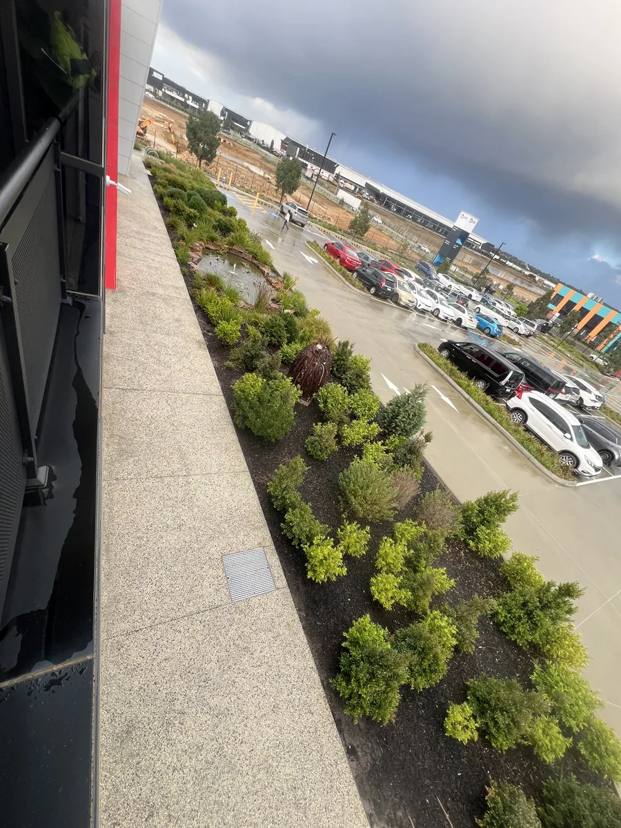 Native carpark planting maintained at a Cranbourne West business park