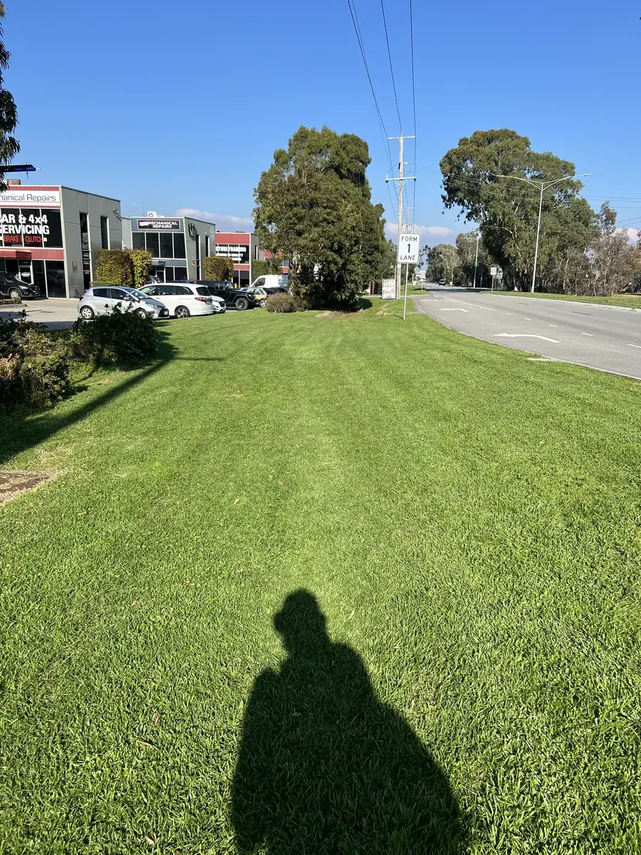 A striped commercial lawn frontage after a scheduled cut, Chelsea Heights