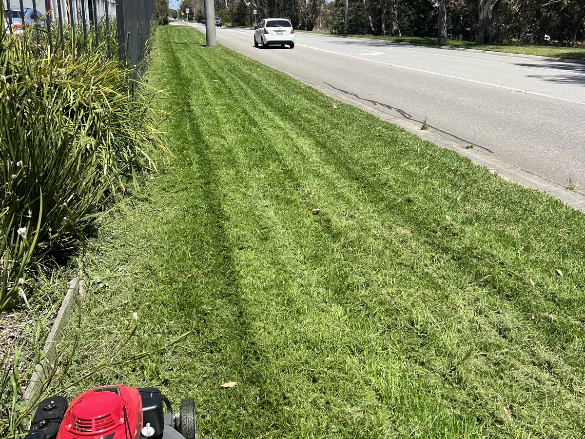 A commercial verge mown and edged on a scheduled program