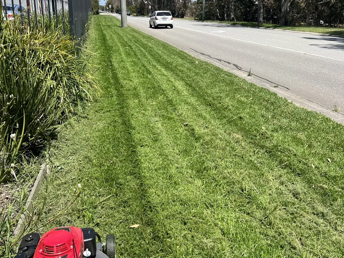 A commercial verge mown and edged on a scheduled program