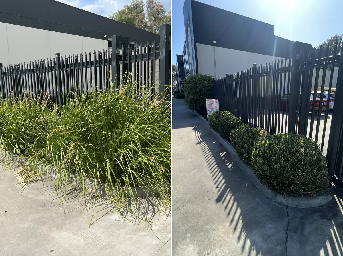 Overgrown to under control in one visit