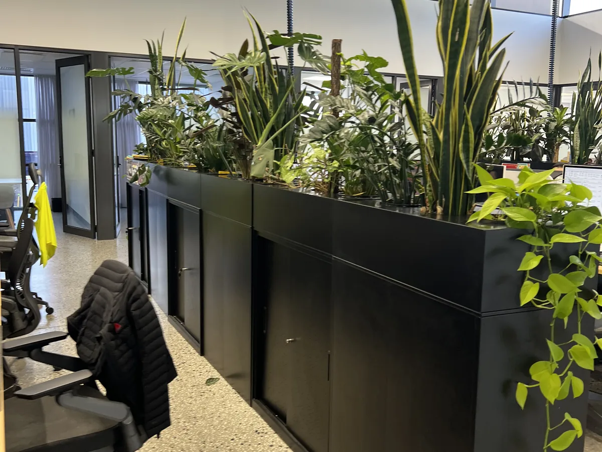 Indoor plants maintained, Cranbourne West