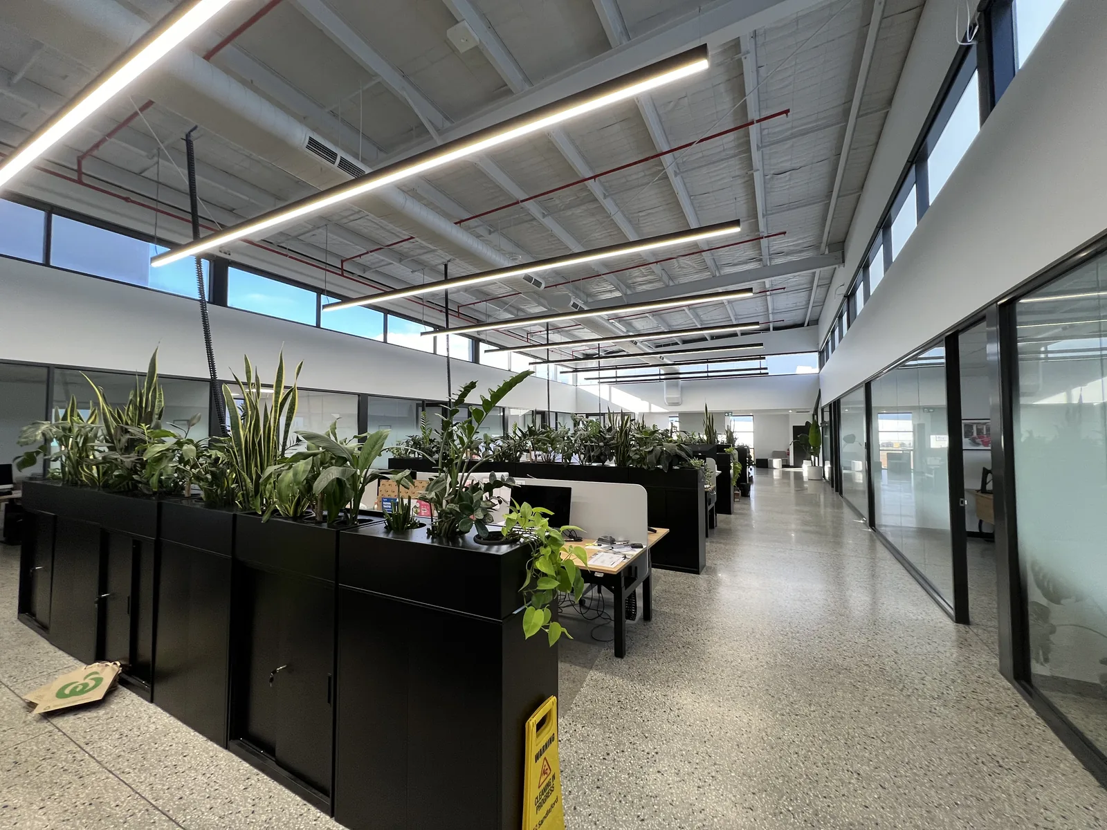 Indoor plant maintenance, healthy office displays at a south east Melbourne business
