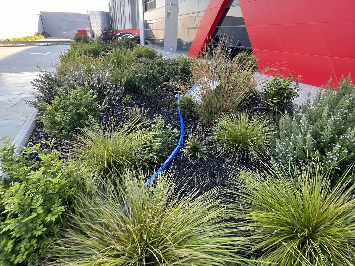 Native entry plantings kept tidy at a Cranbourne West business park