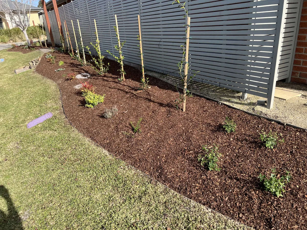 New garden beds planted and mulched at a Clyde North community