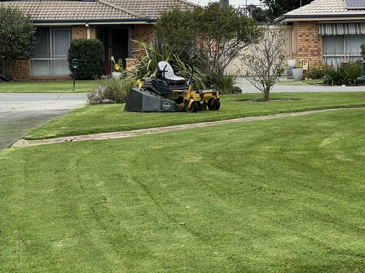 An open lawn cut and cleaned up on a large property