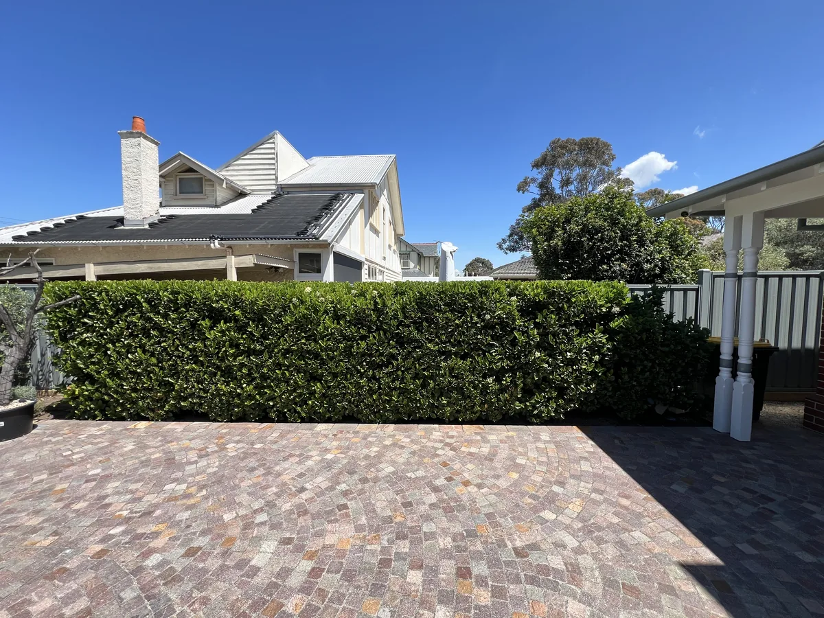 A hedge trimmed dead straight at an Essendon property